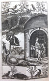 quadratisches Buchcover zur Vorschau