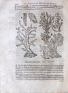 quadratisches Buchcover zur Vorschau