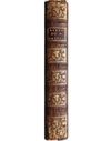quadratisches Buchcover zur Vorschau