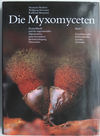 quadratisches Buchcover zur Vorschau